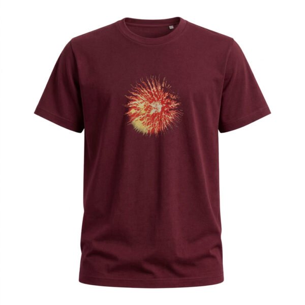 Remera Clásica Bordó FA1