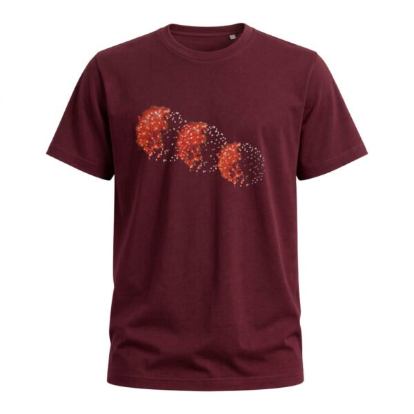 Remera Clásica Bordó FA2
